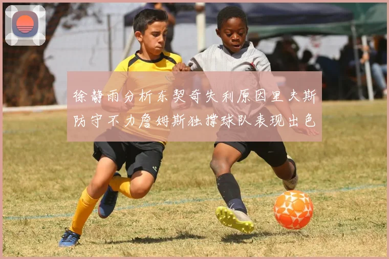 徐静雨分析东契奇失利原因里夫斯防守不力詹姆斯独撑球队表现出色